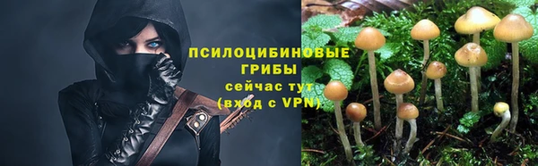 экстази Алексин