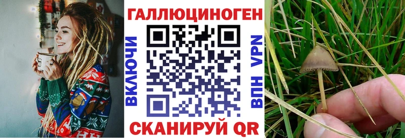 гидра ссылка  Любань  Галлюциногенные грибы мицелий 